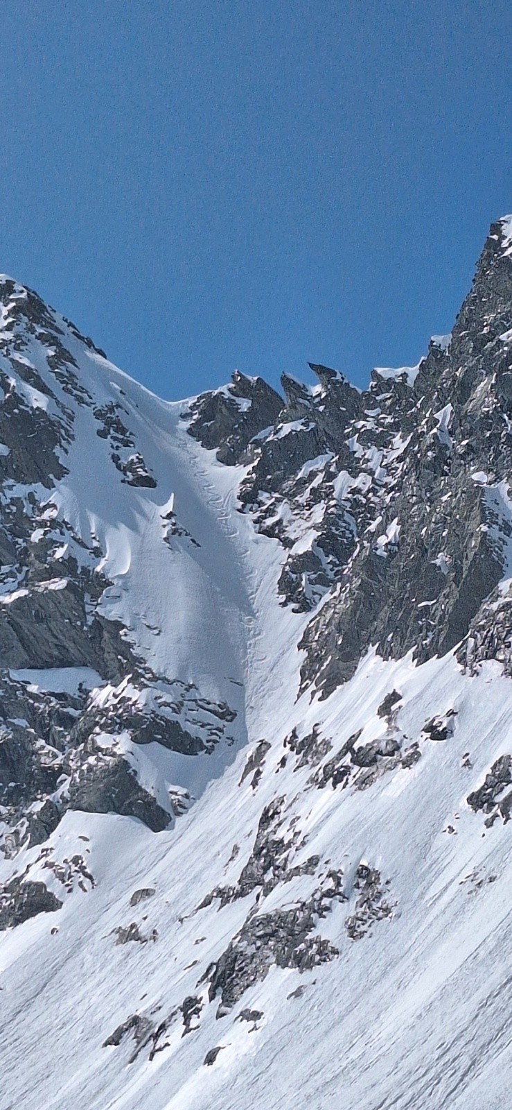 #12 Col.de Becca Motta Col.de Becca Motta