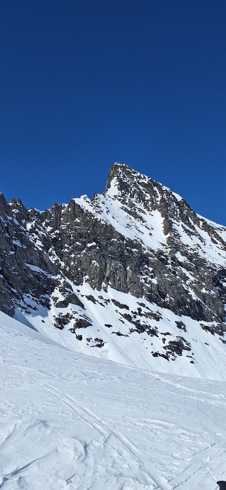 #13 Becca Motta Becca Motta