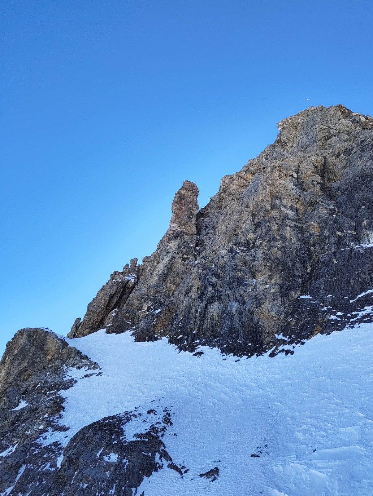 #7 Celui la je veux pas être dessous quand il tombera Celui la je veux pas être dessous quand il tombera