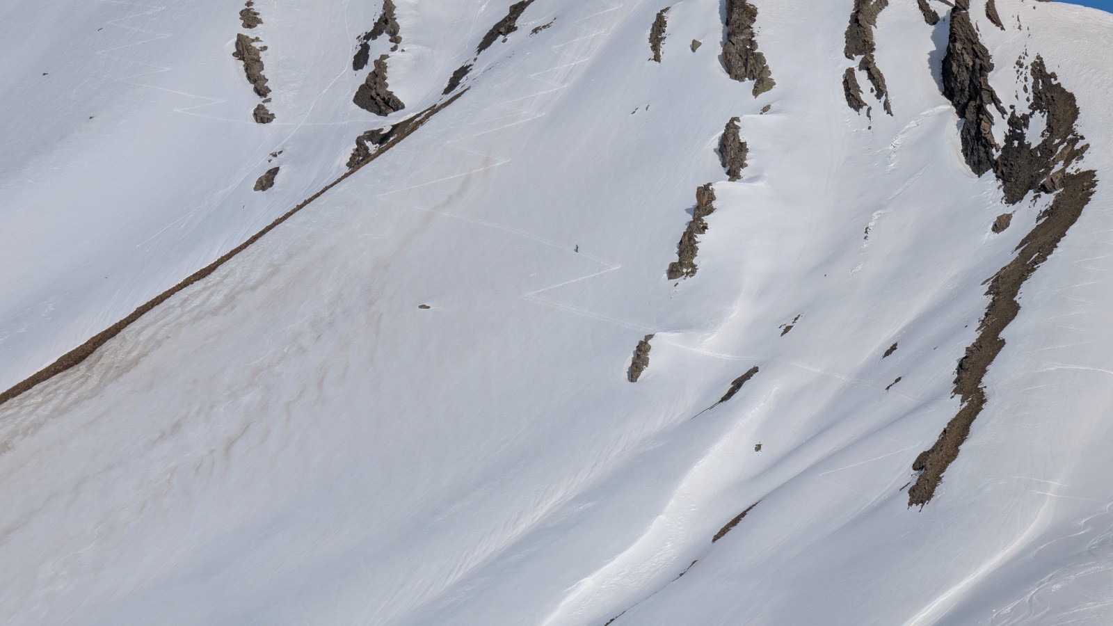 &nbsp;Courageux solitaire