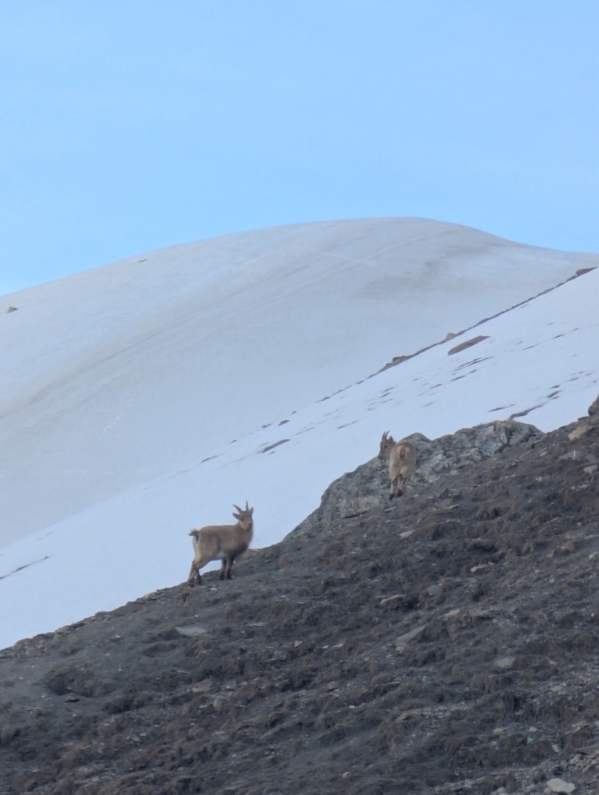 Belle rencontre&nbsp;