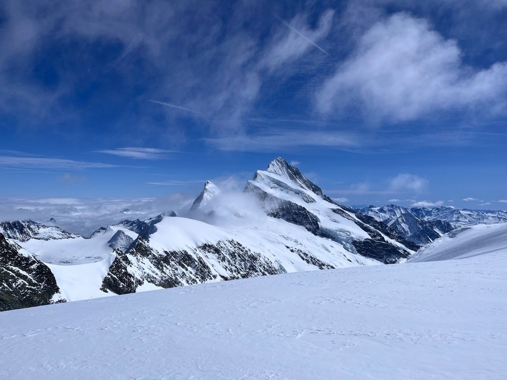 #14 Le Seigneur des lieux Le Seigneur des lieux