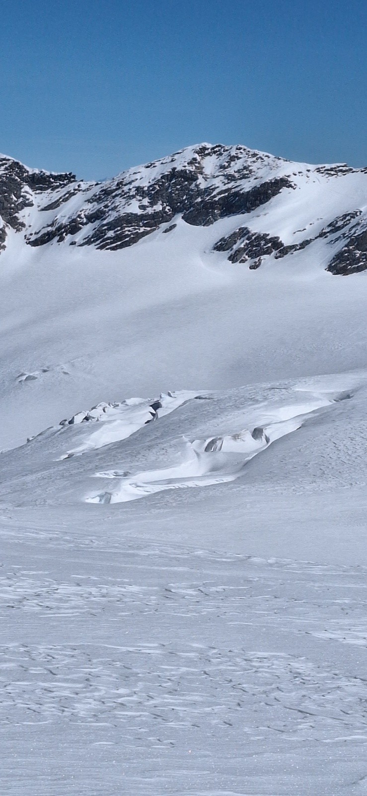 #8 Glacier du Ruitor Glacier du Ruitor