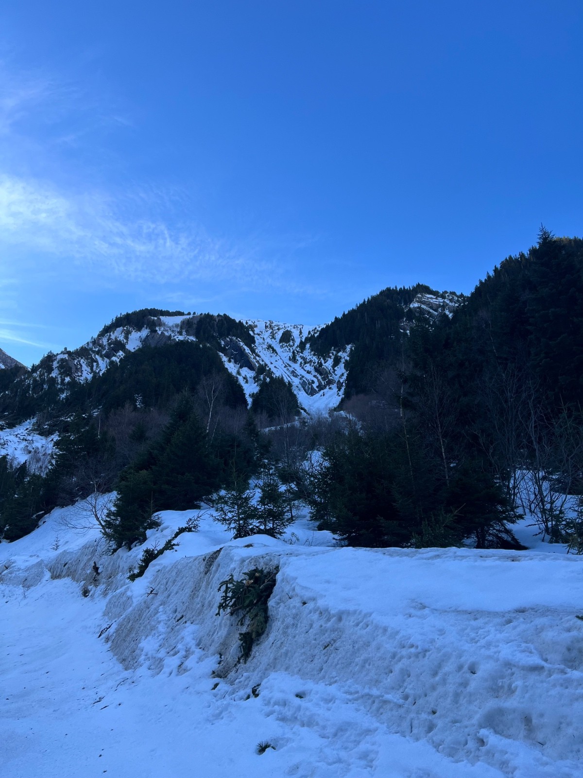 &nbsp;Dans le défilé