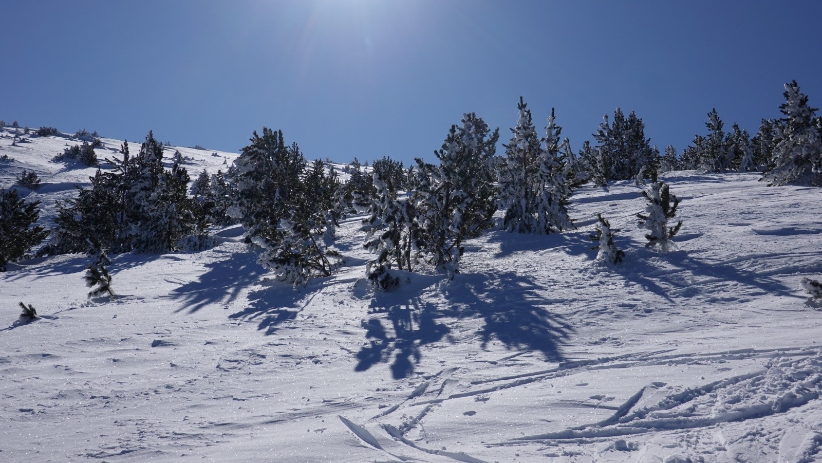 Au-dessus des pistes avec de la neige poudreuse en cours d'humidification