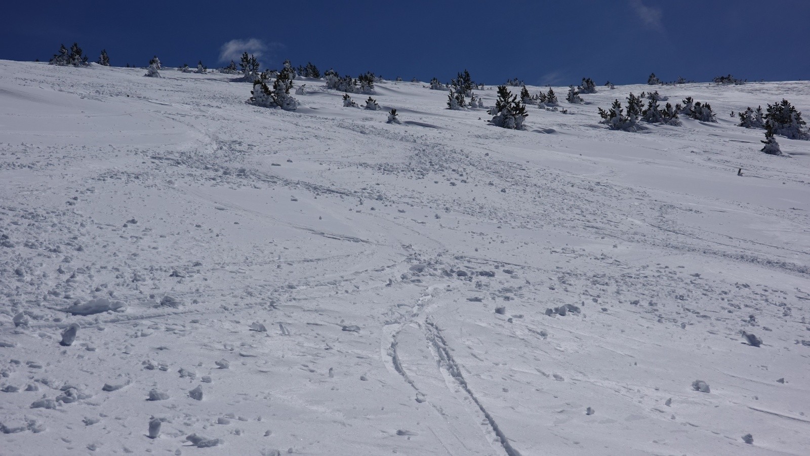 Poudreuse humidifiée sur le haut