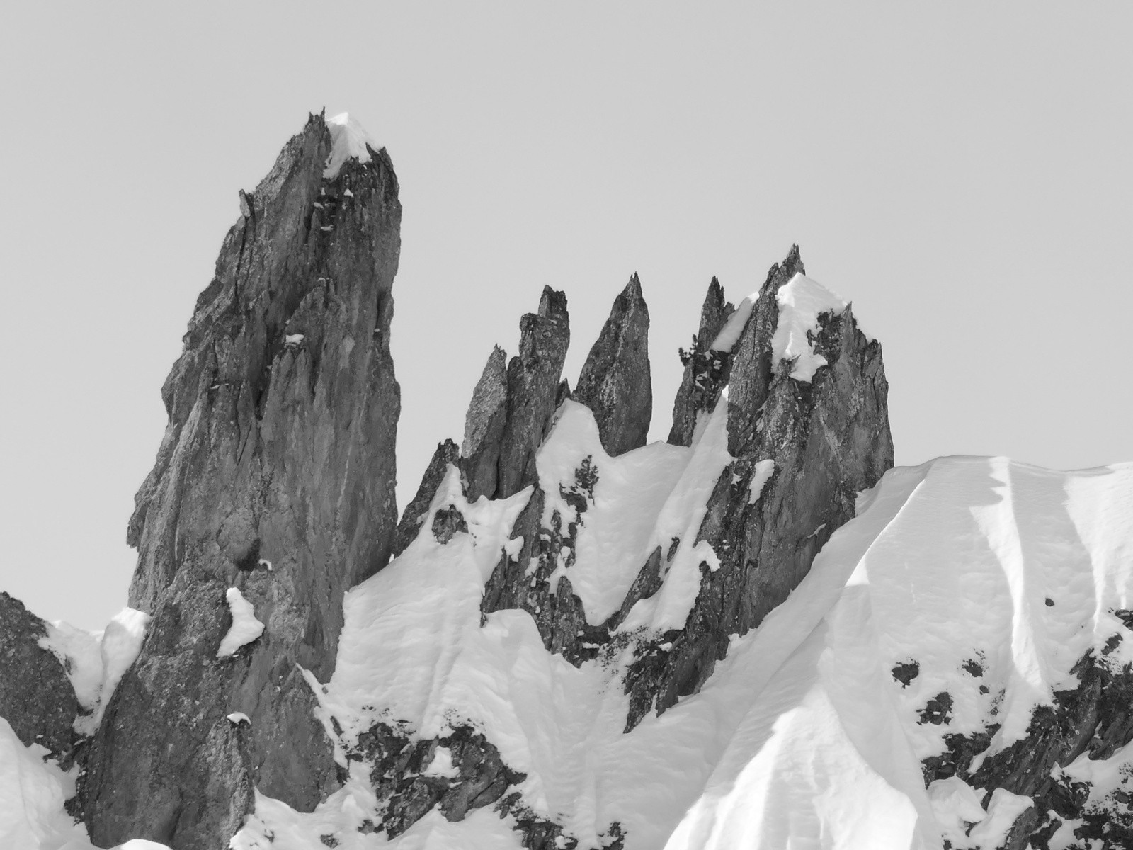 #11 Dentelles... Dentelles...