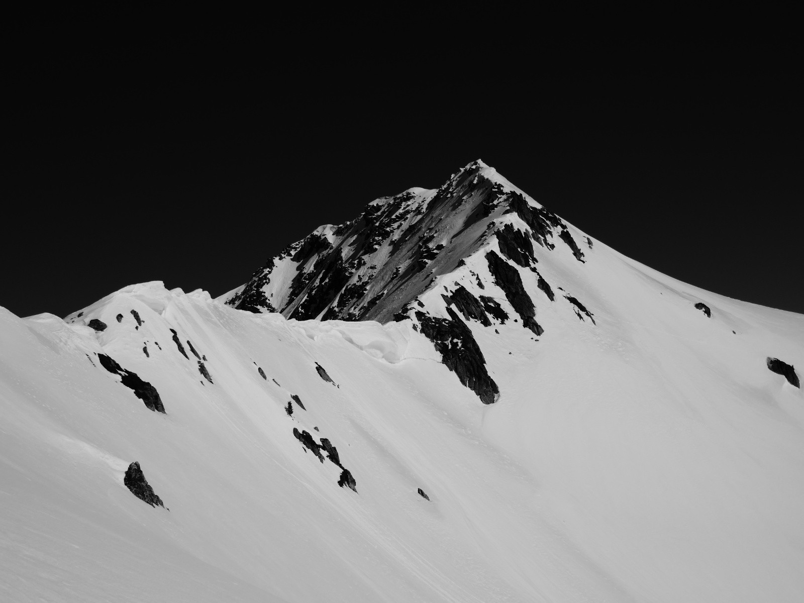 #20 Bellacha... Bellacha...