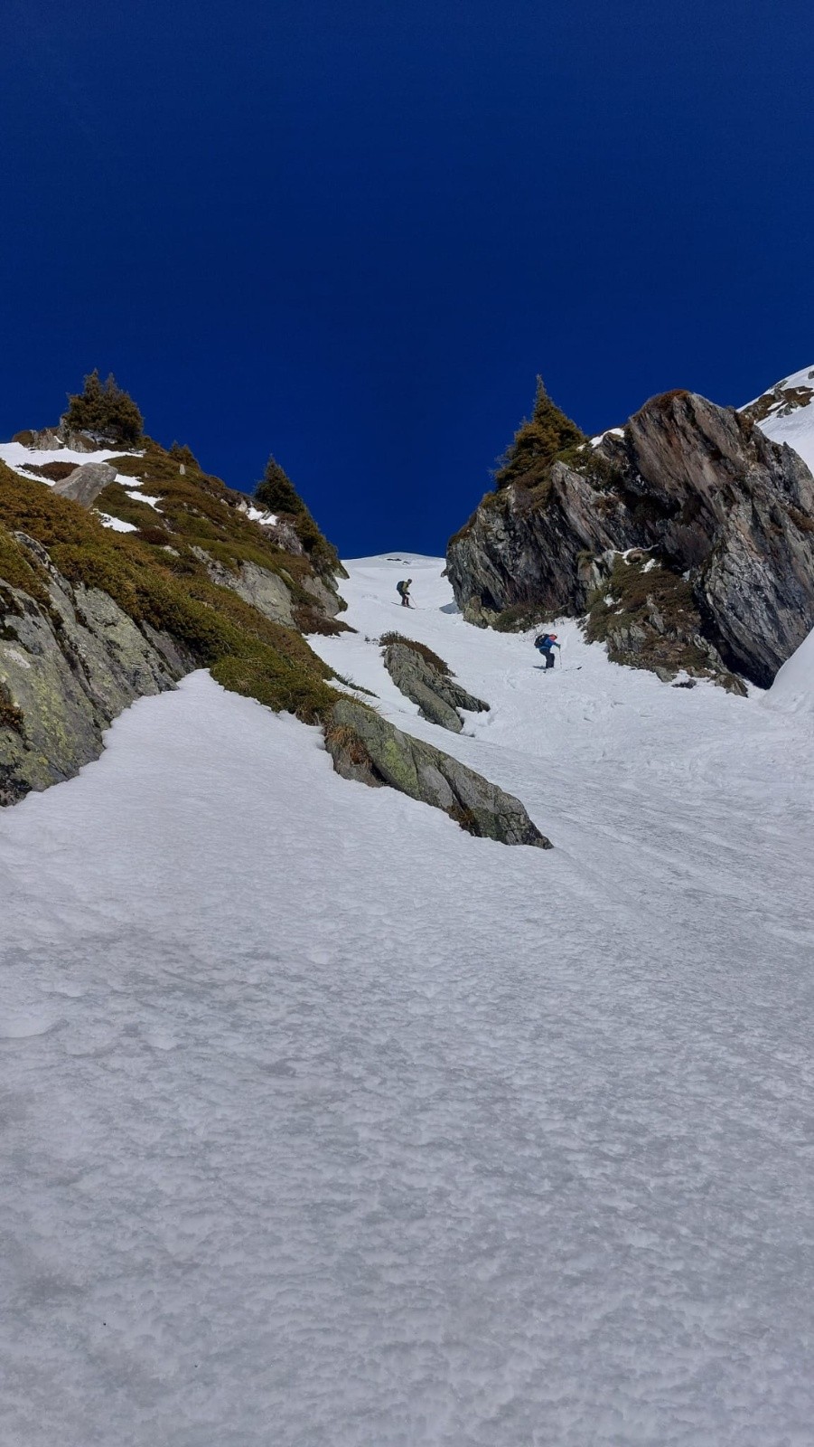 #30 Dans la dinguerie... Dans la dinguerie...