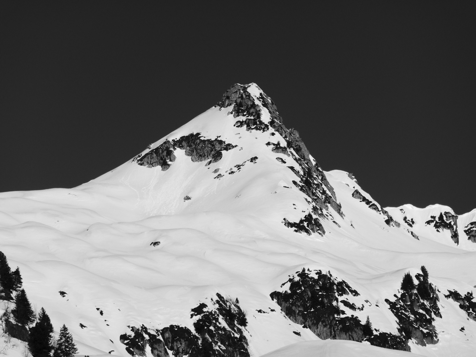 #4 Marmottes... Marmottes...