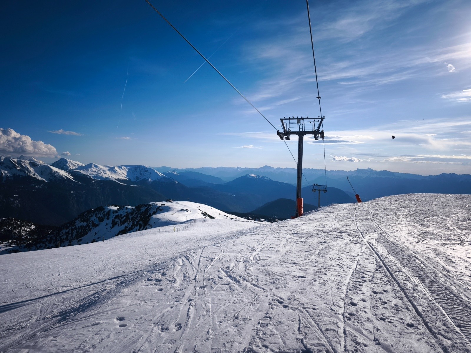 Les choucas viennent voir si il y a des reste au resto
