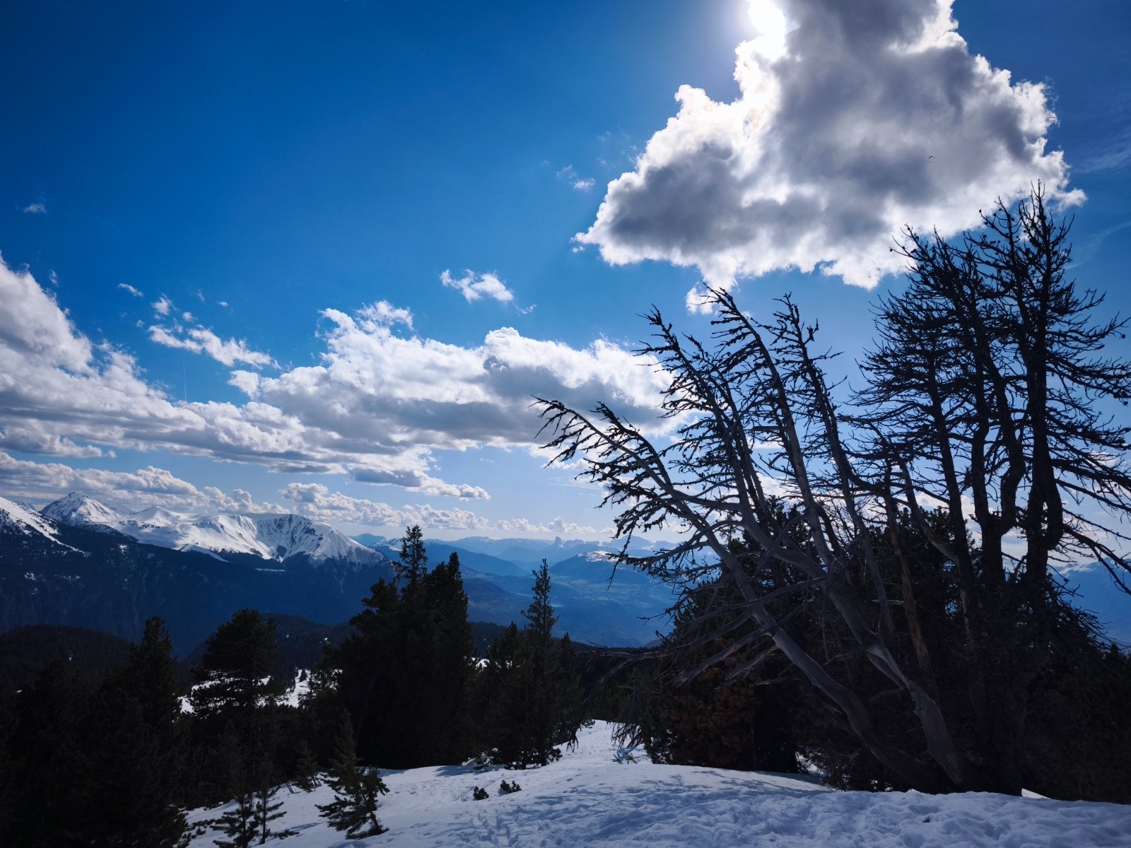 Ambiance morbide entre ce gros nuage bien épais et ces pauvres conifères bouffé surement par un parasite grâce au réchauffement climatique.