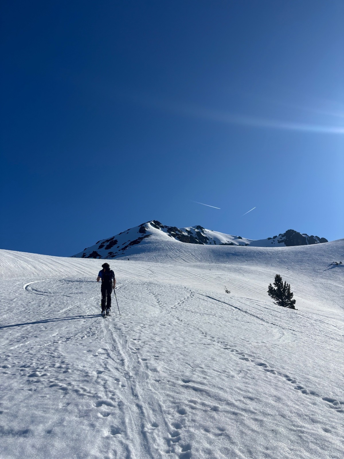 &nbsp;Donnez moi du soleil&nbsp;