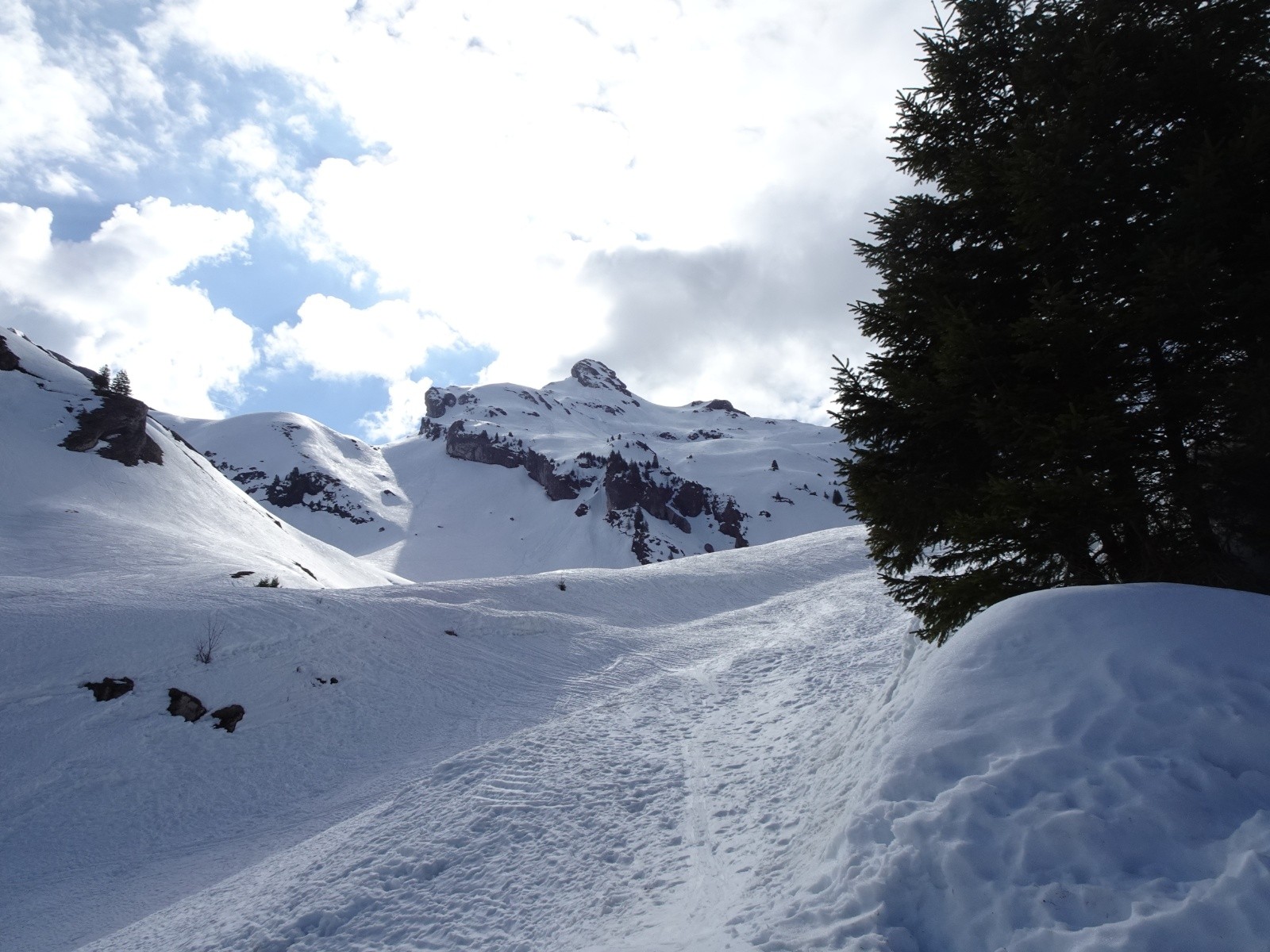 Au sortir de la forêt