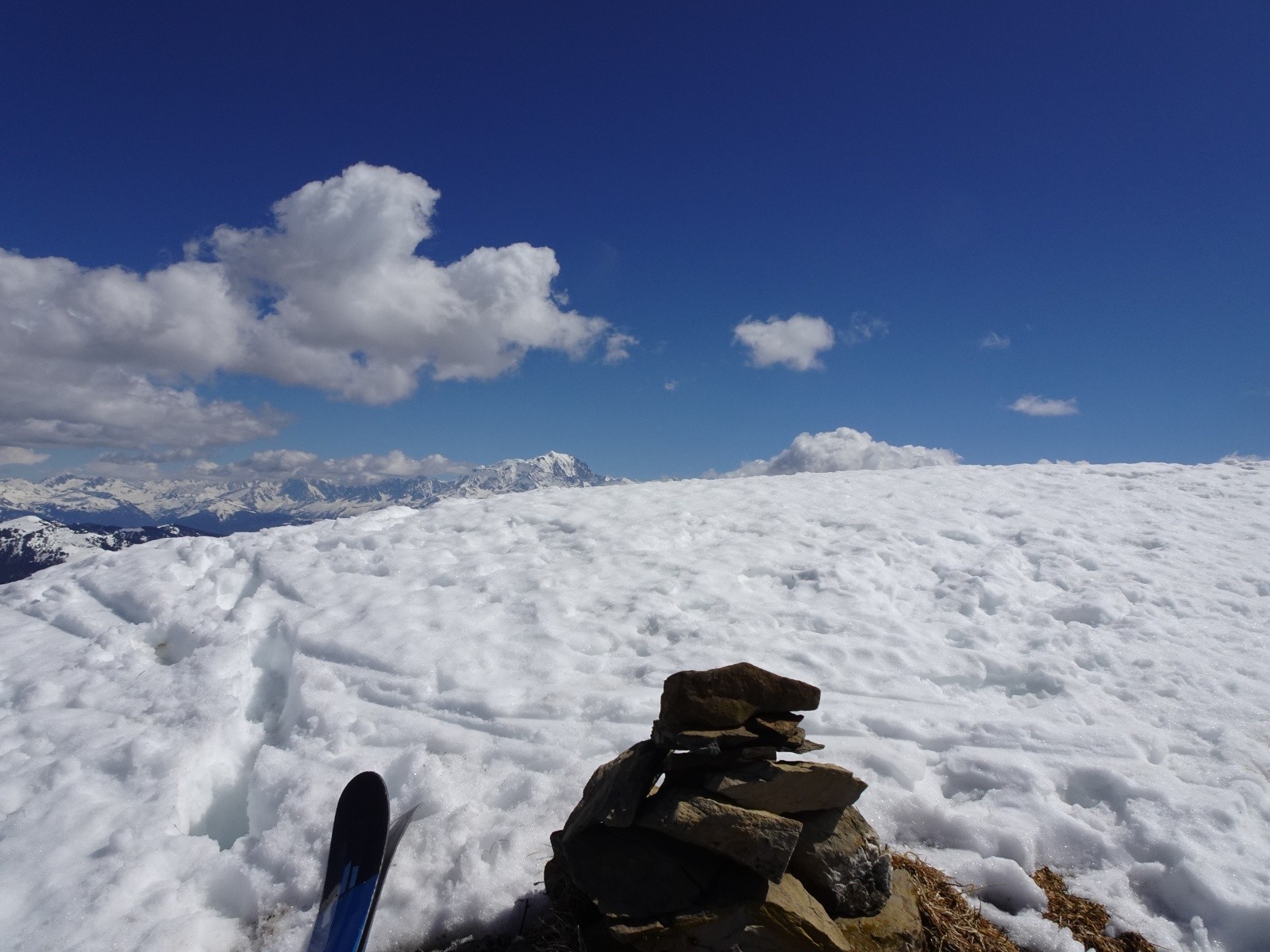 Le Mont Blanc dans le lointain