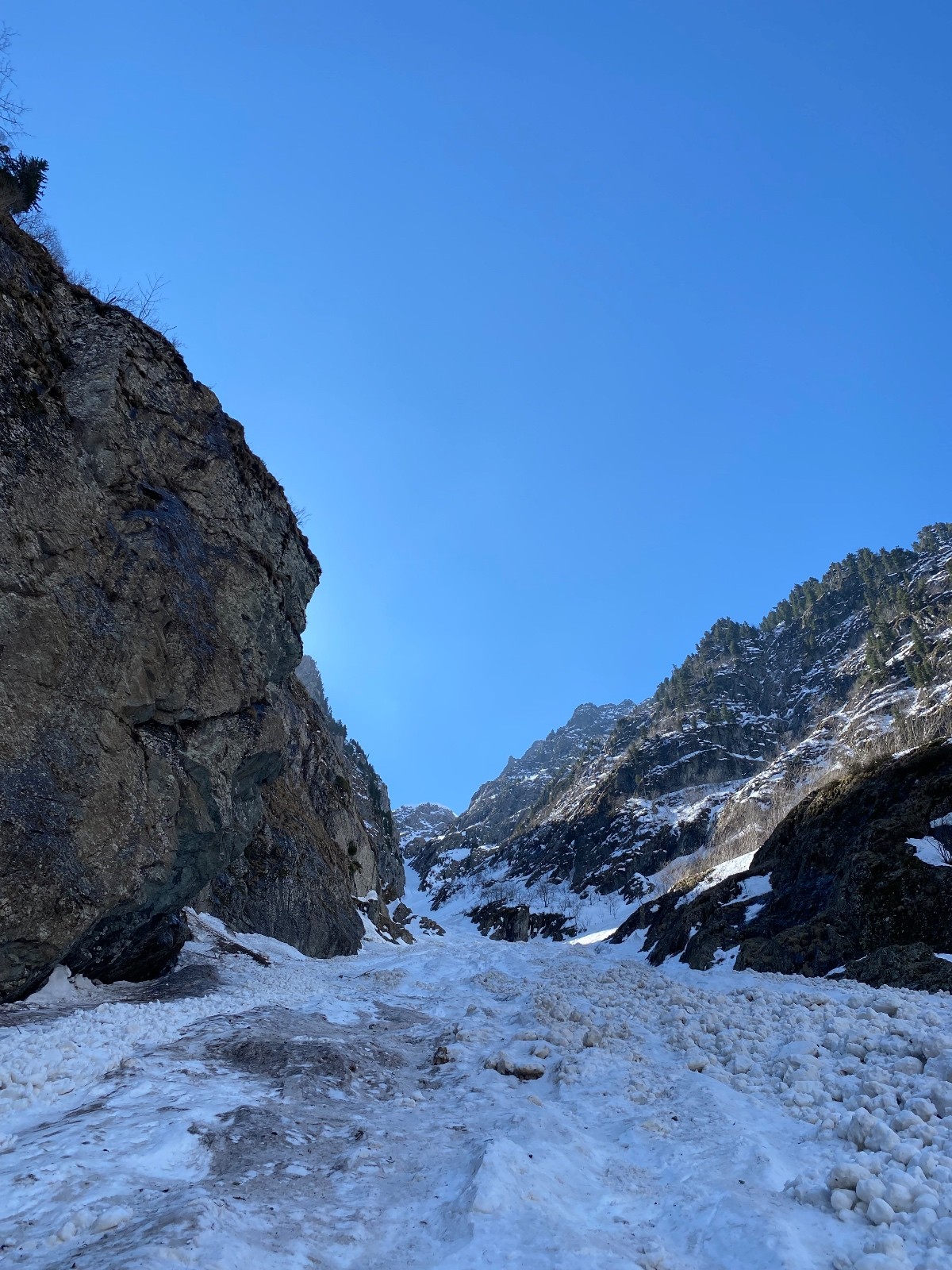 boulette chiant&nbsp;