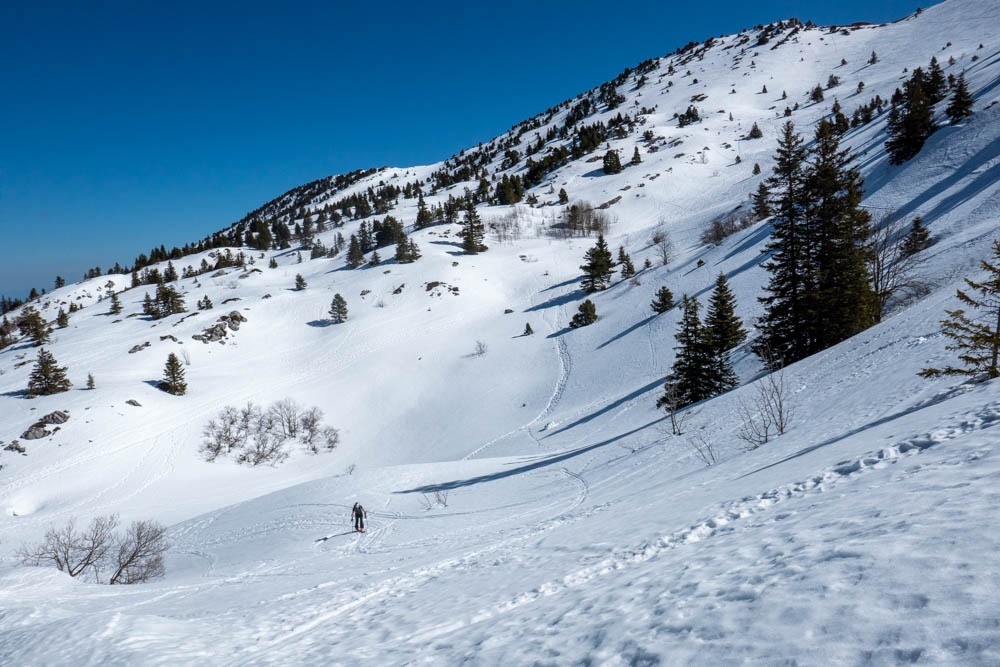 Bcp de neige pour un mois d'Avril !