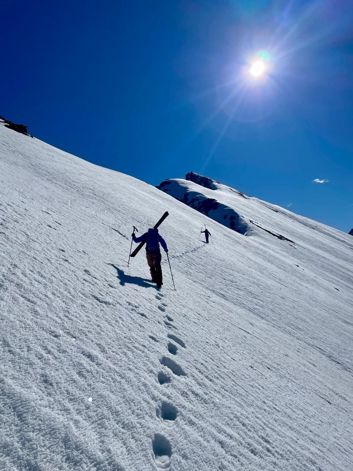 photo Dominique&nbsp;