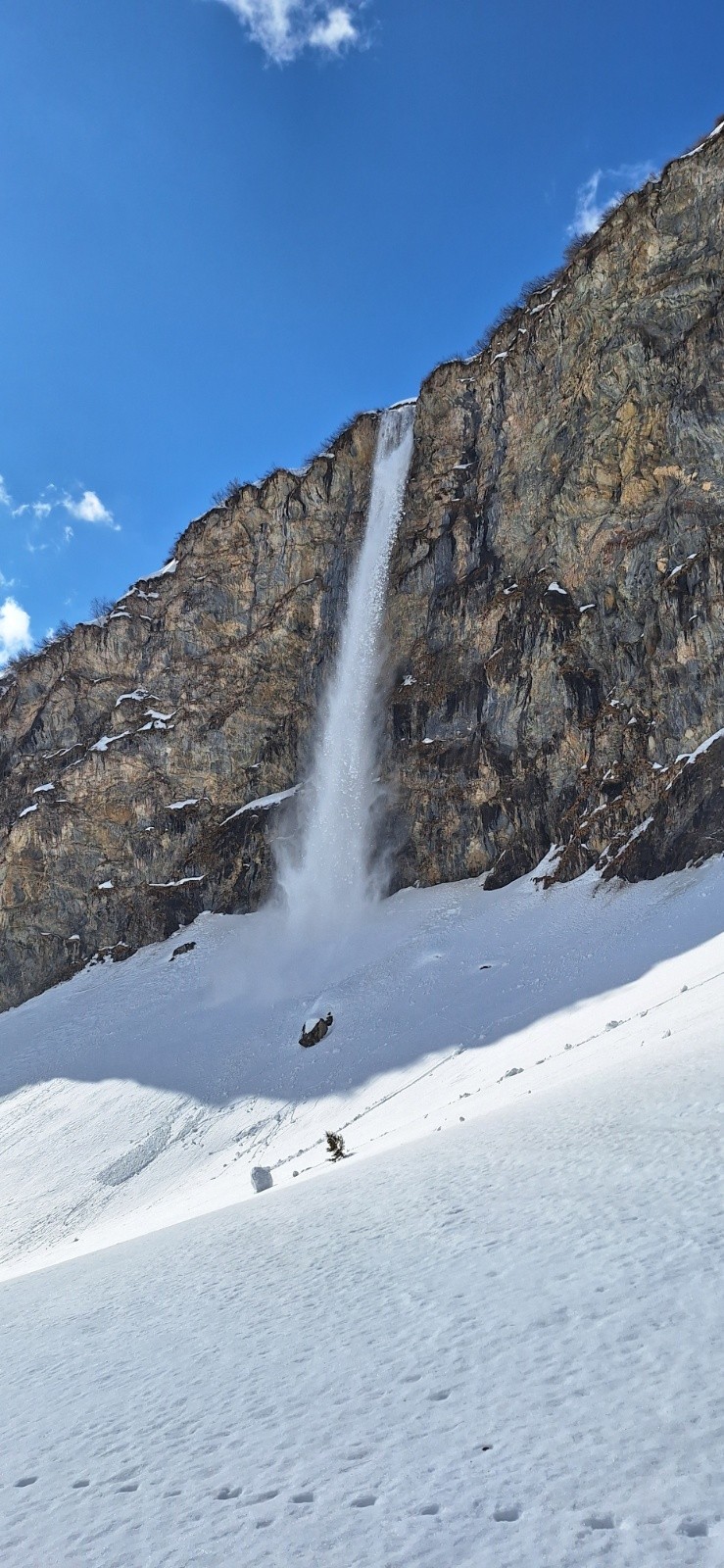 Belle purge en falaise&nbsp;