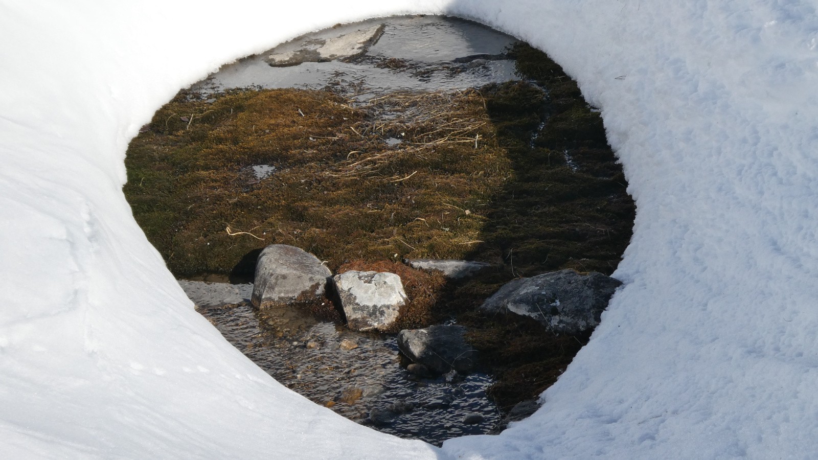 J2 l’œil était dans le torrent et regardait quelqu’un