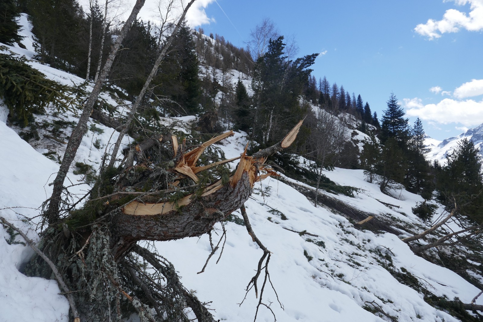 Quel chantier !&nbsp; 