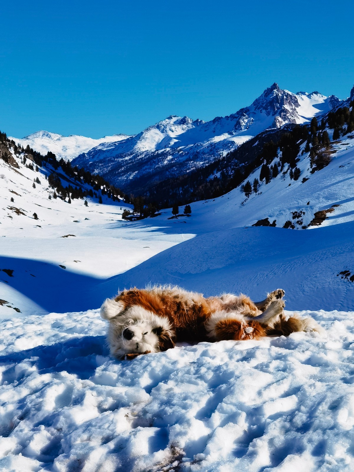«Qui t'as donné l'autorisation d'arrêter les gratouilles ? »