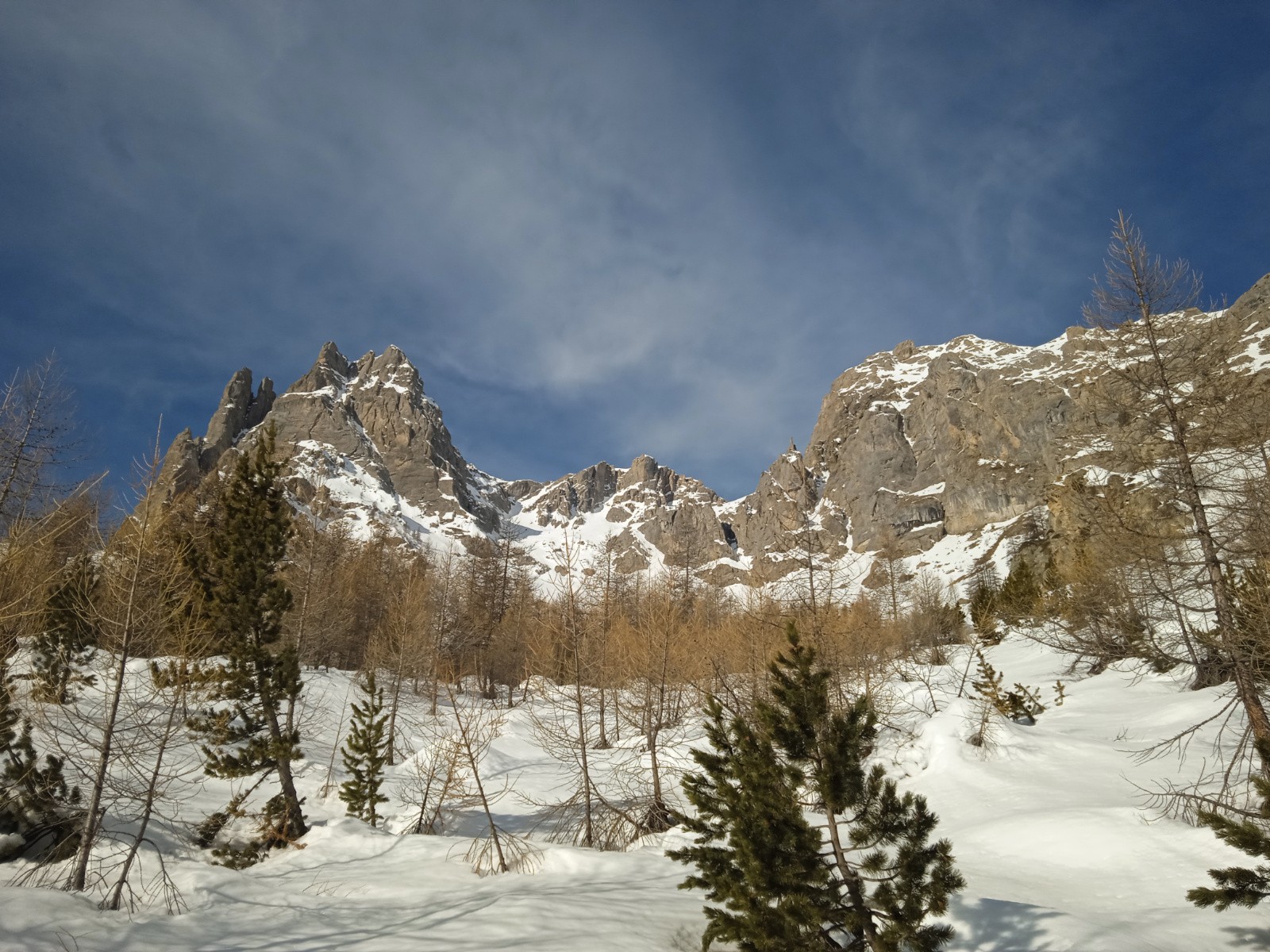 #1 on sort de la forêt... on sort de la forêt...