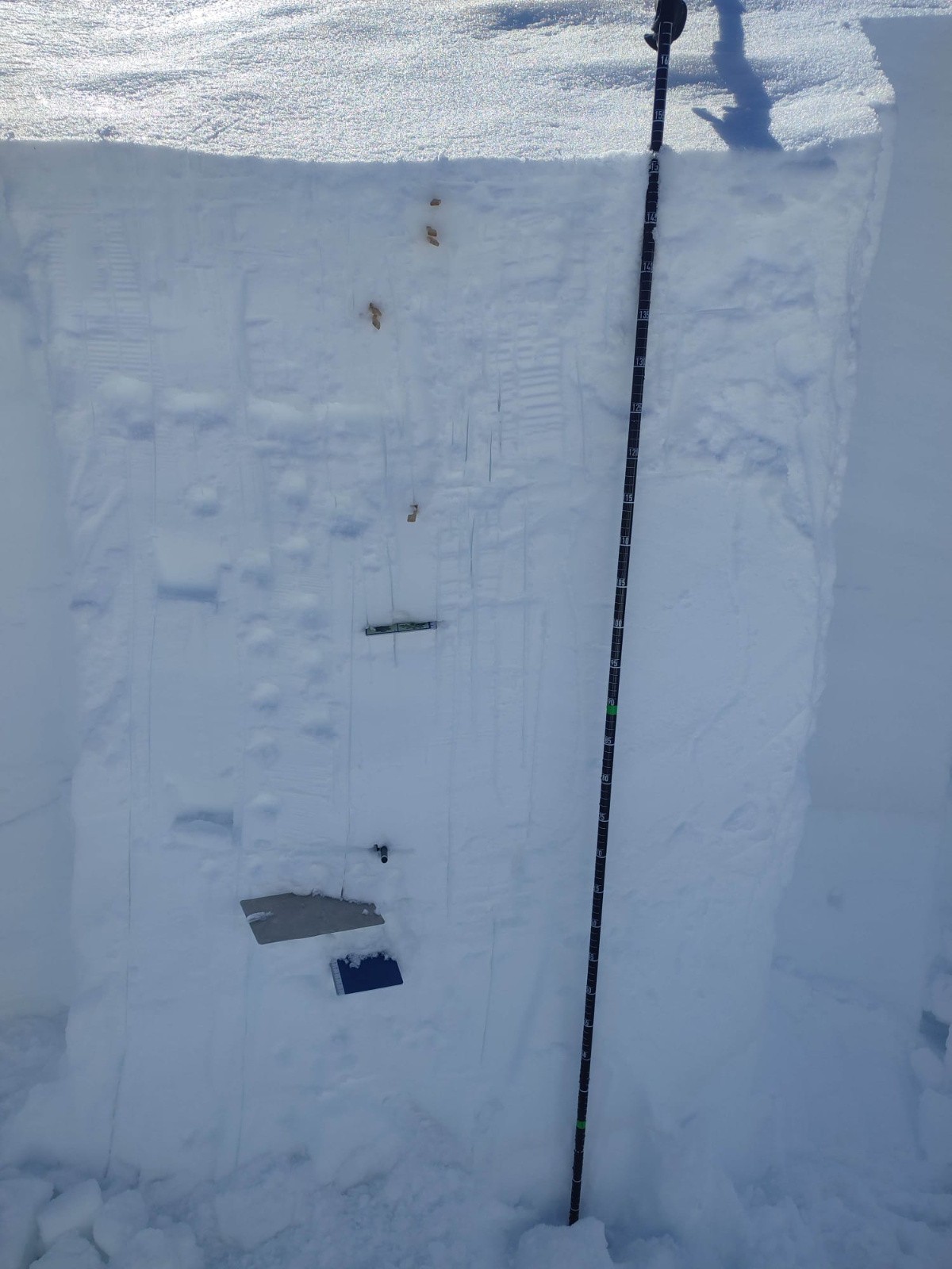 Sondage réalisé en versant N à 2100 m.