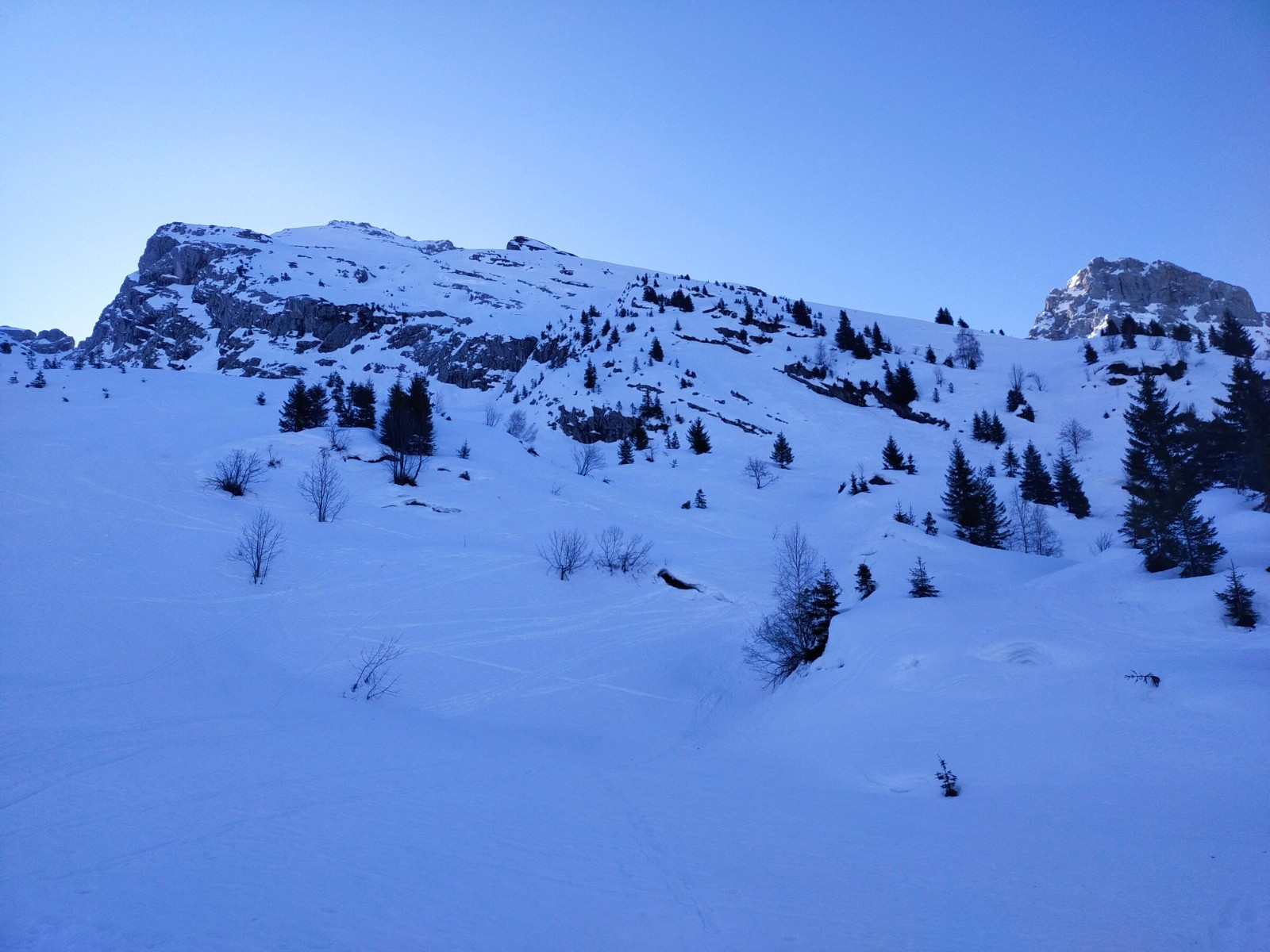 #2 Face W dans l Face W dans l'ombre