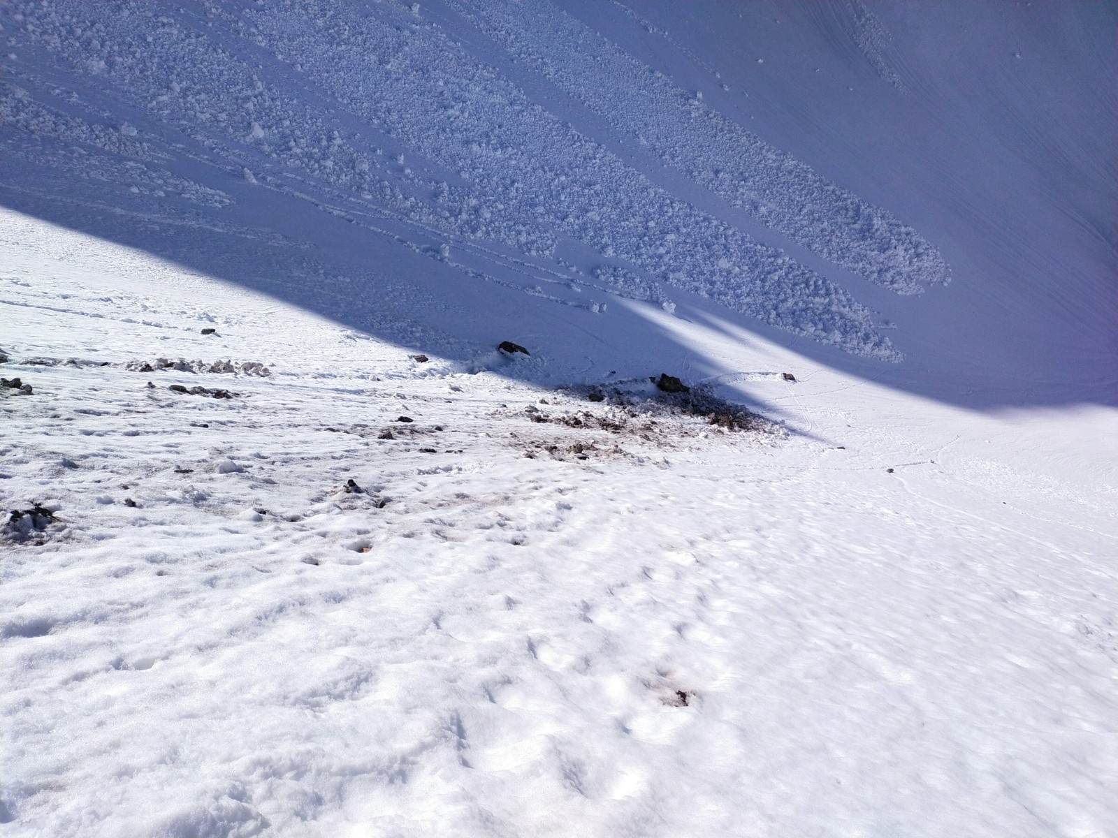 #6 Bas de la purge Bas de la purge