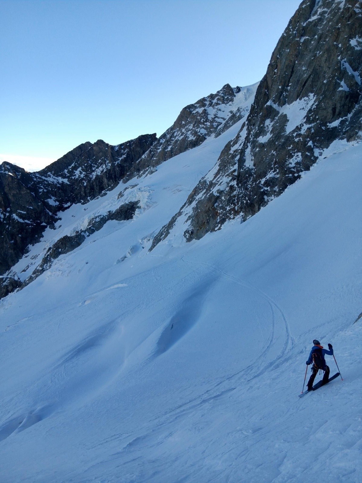 J4: Toto dans la descente sur le glacier de la Meije&nbsp;