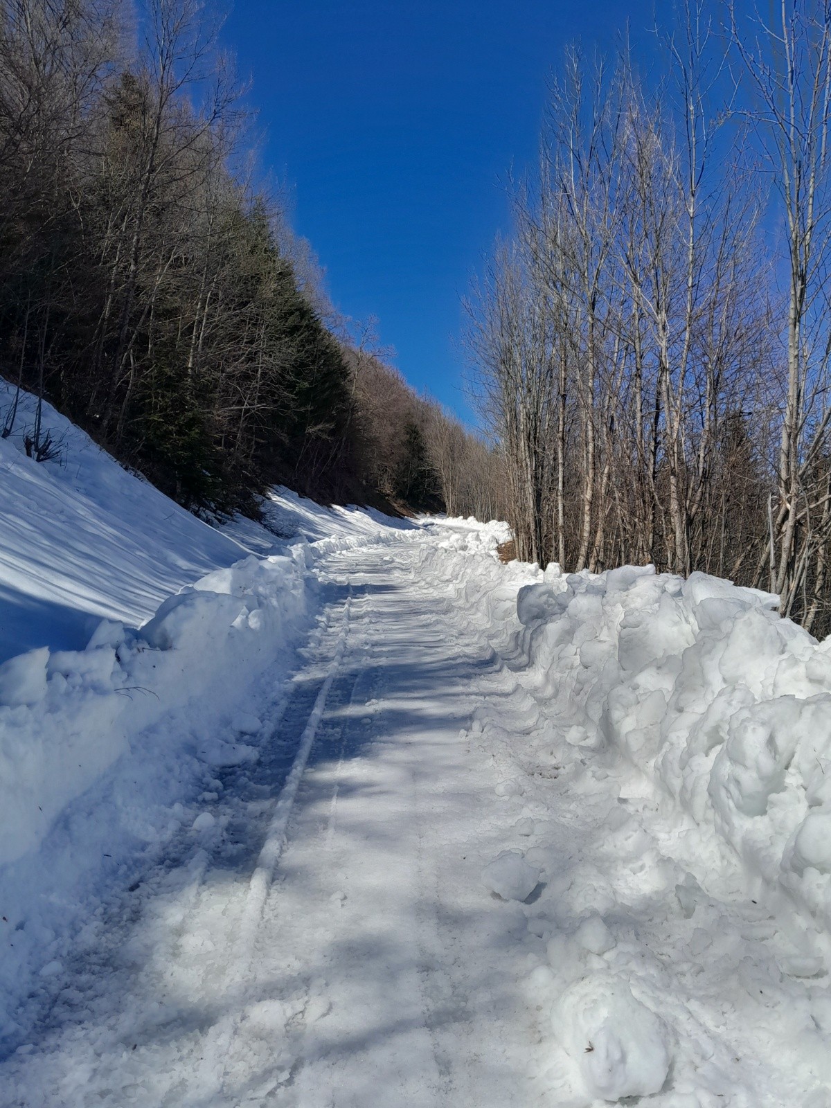 #1 Chasse neige venant de passer. Au retour ca passe nickel ! Chasse neige venant de passer. Au retour ca passe nickel !