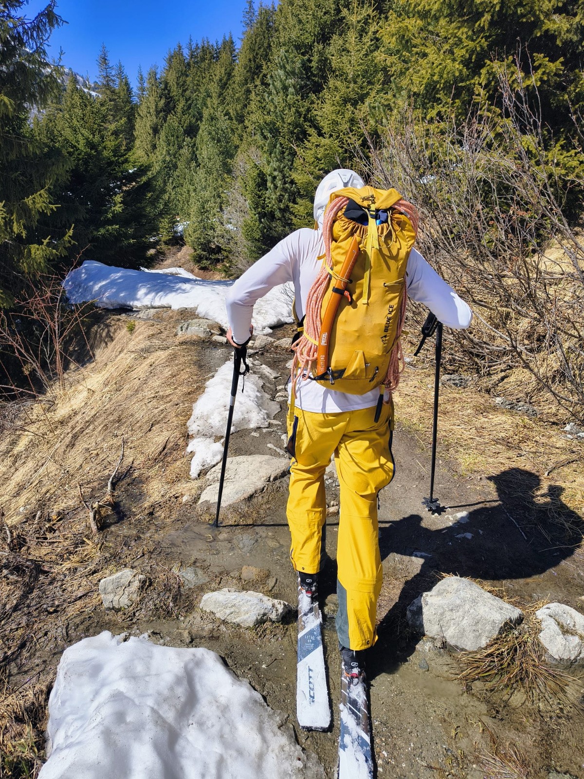 Mode printemps avancé sur le chemin du retour ! 