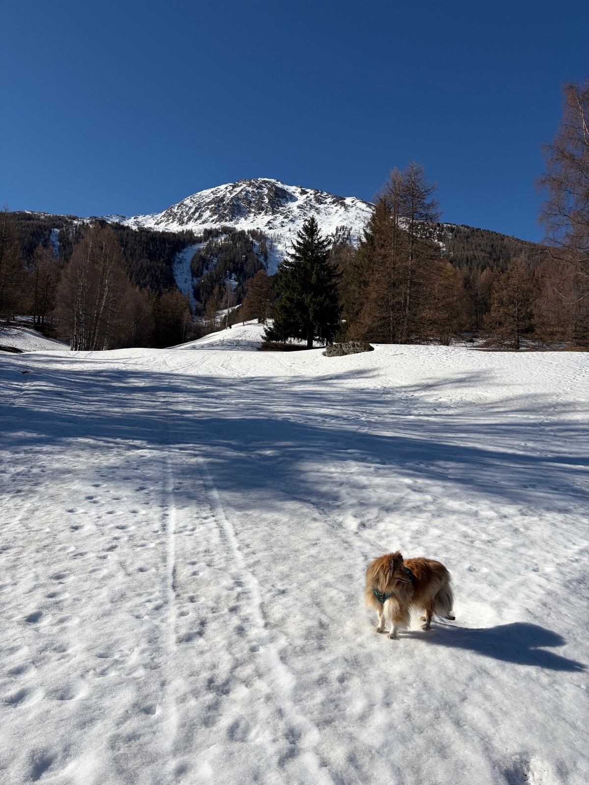 &nbsp;Au départ du Cernay