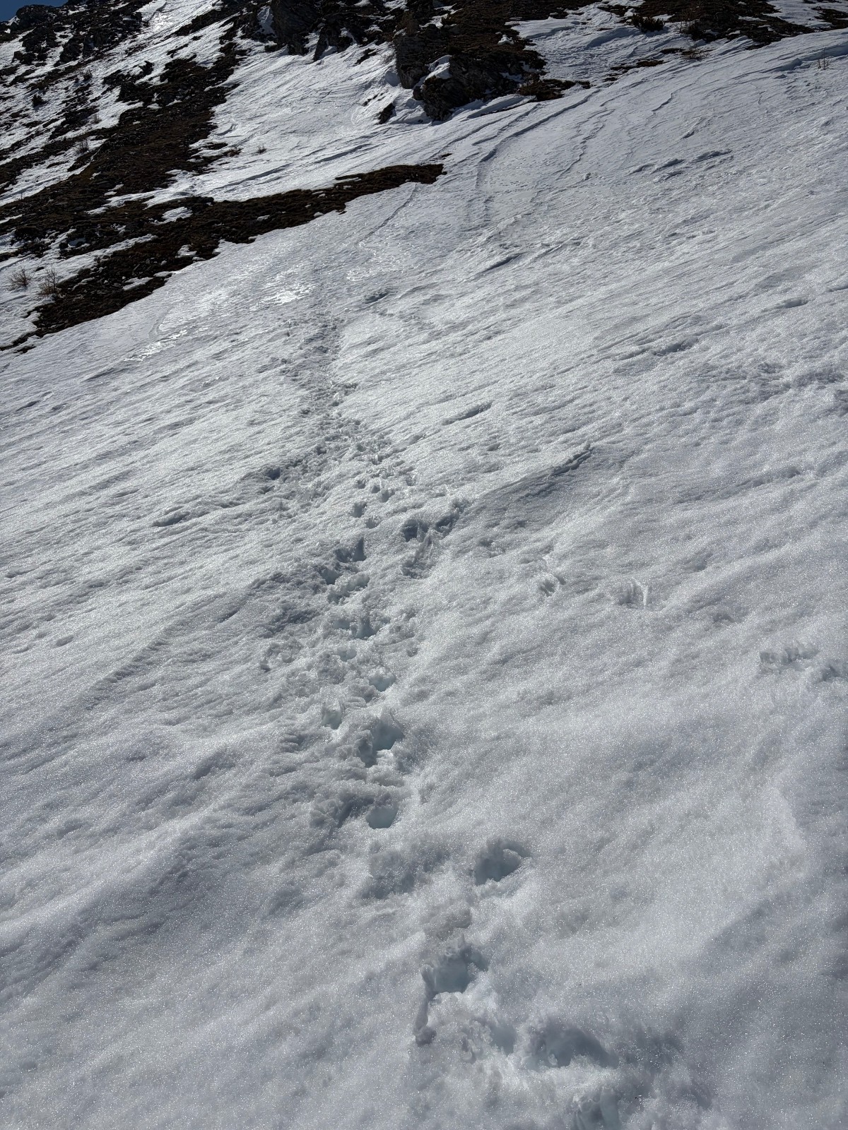 Traces locales&nbsp;