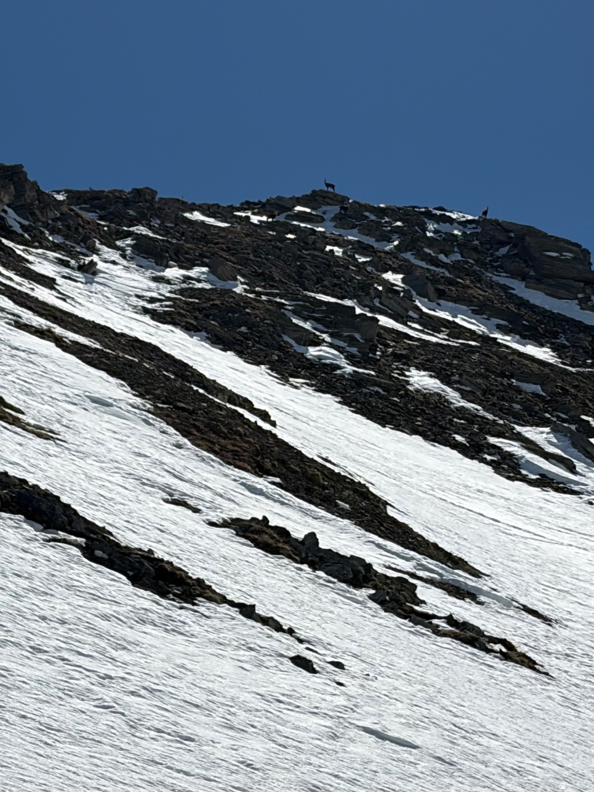 &nbsp;Sous bonne garde&nbsp;