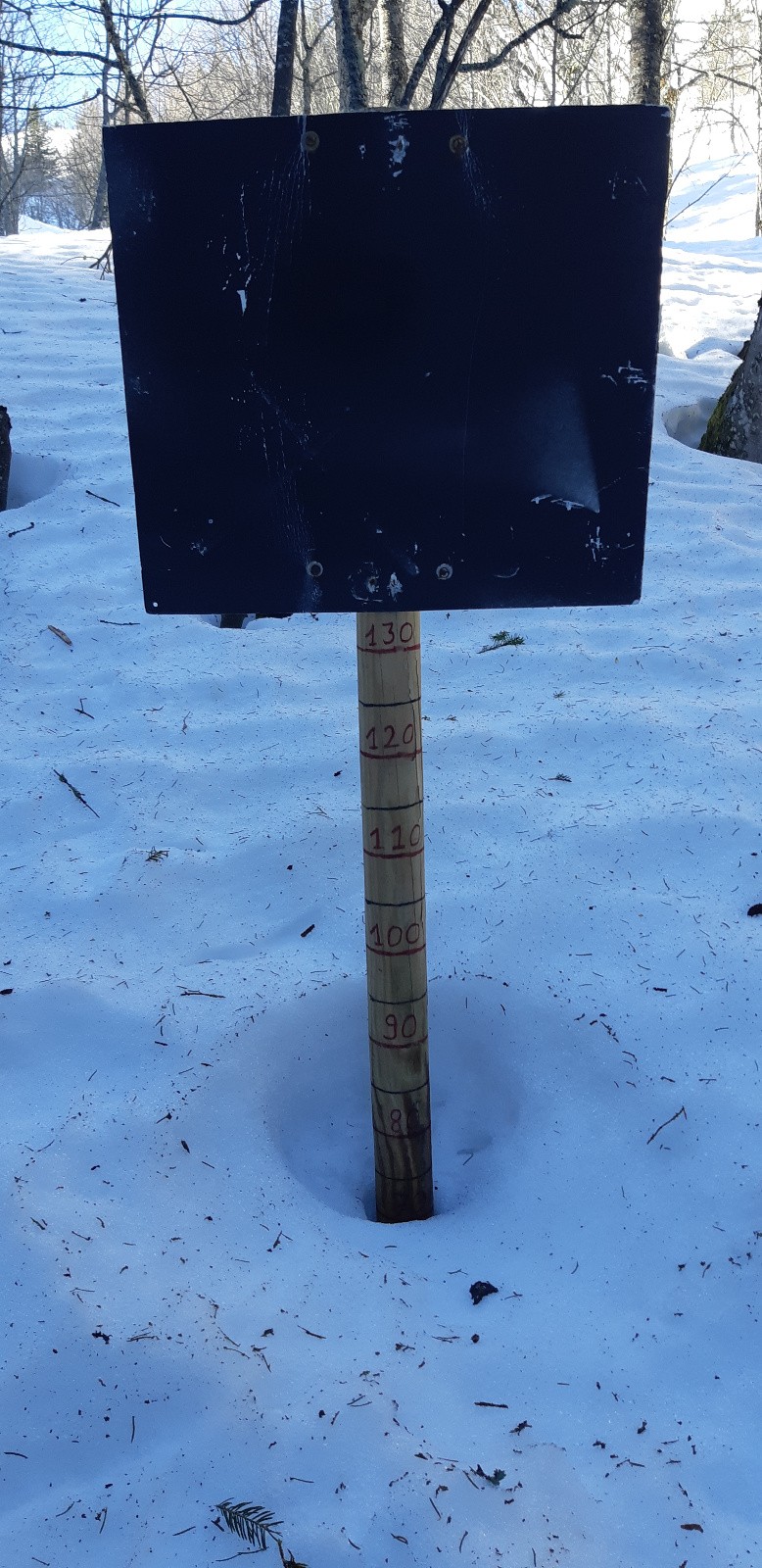 nivose combe nord 70-80cm !