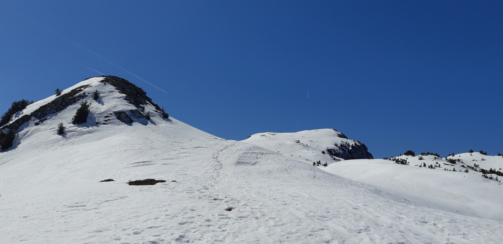 Grand som plus très loin 