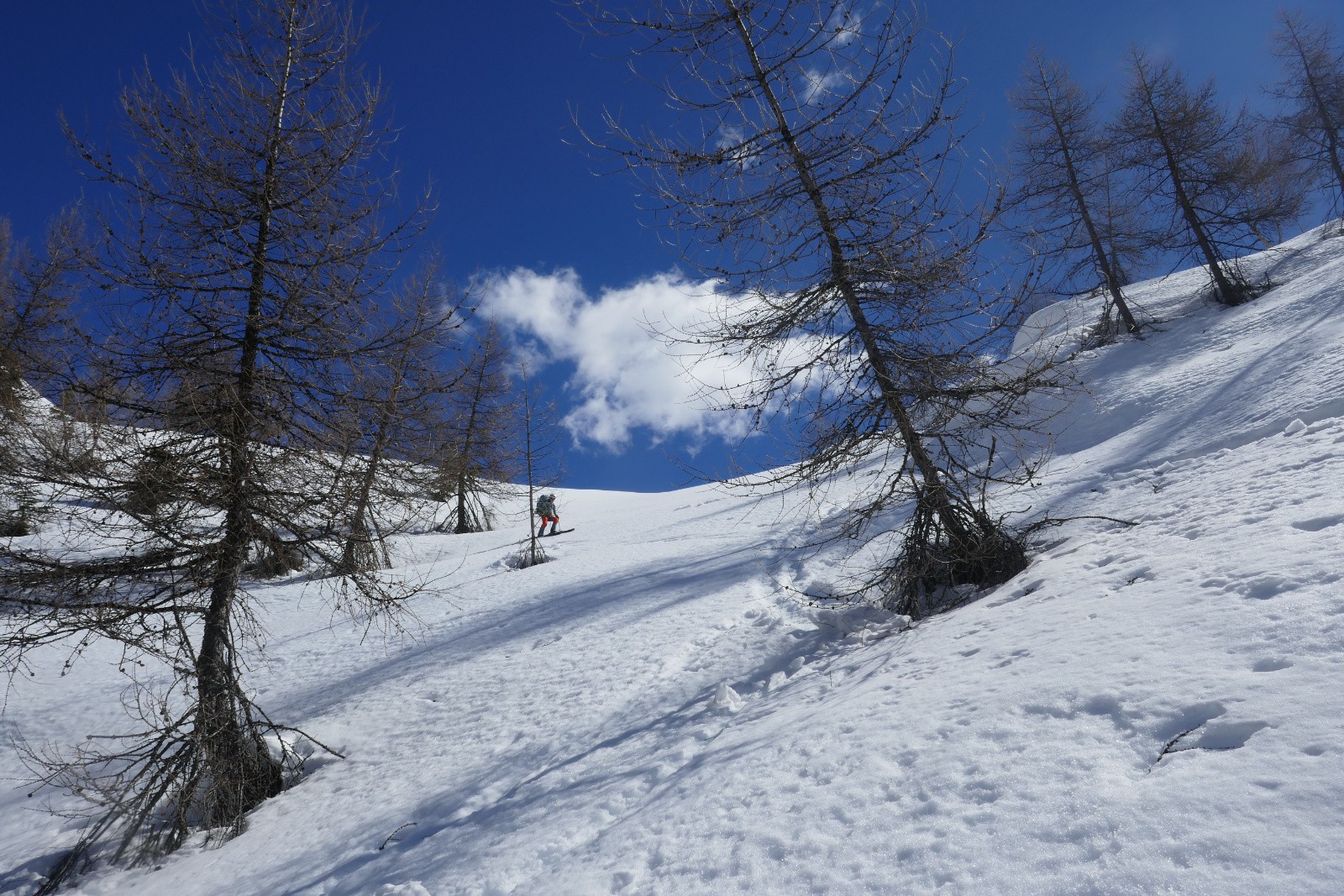 Dans les Prés Lautier 