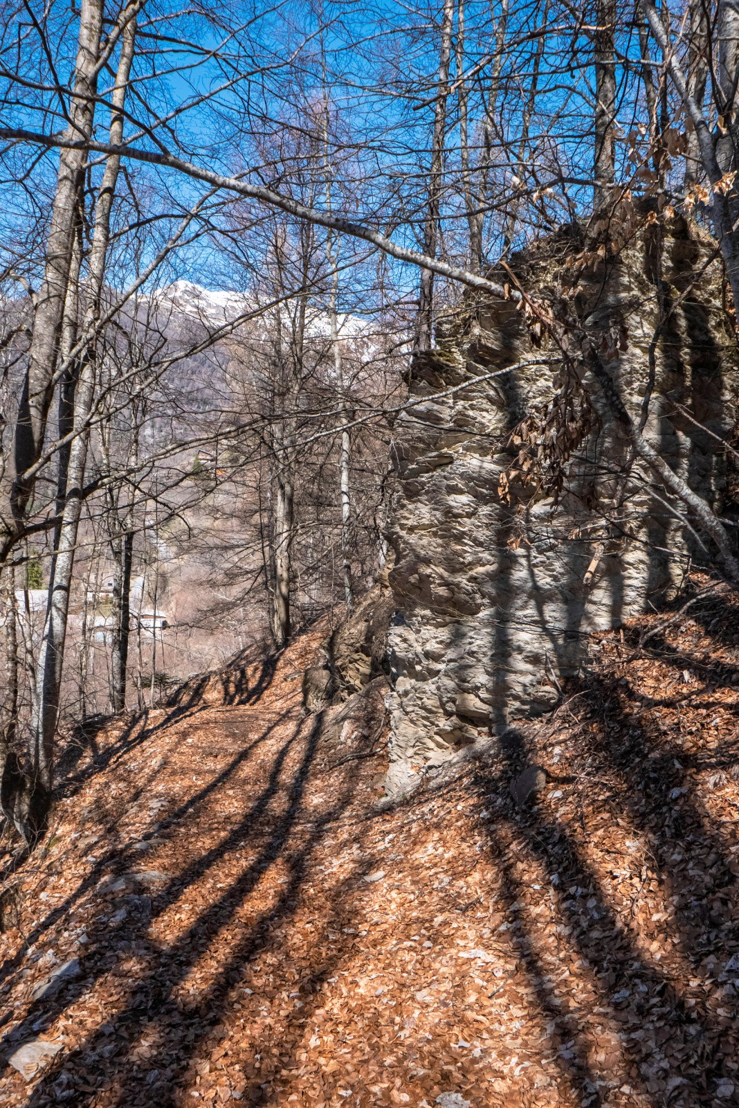 Chemin agréable pour revenir au hameau