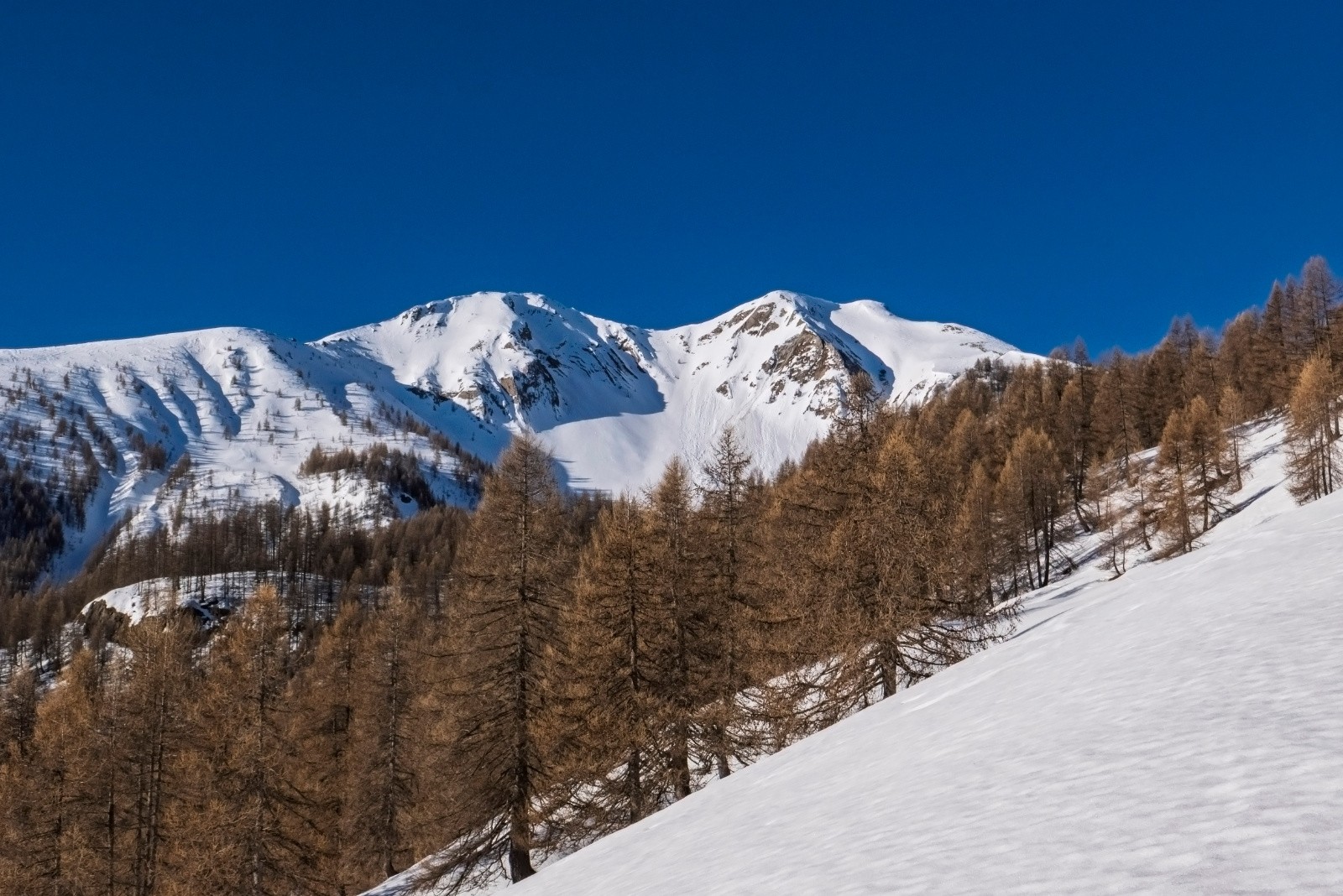 La Petite Autane se dévoile
