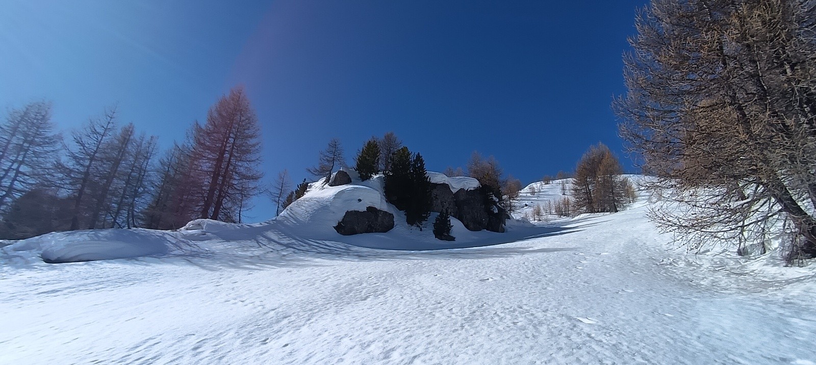 Sortie de la forêt, la neige est bien meilleure