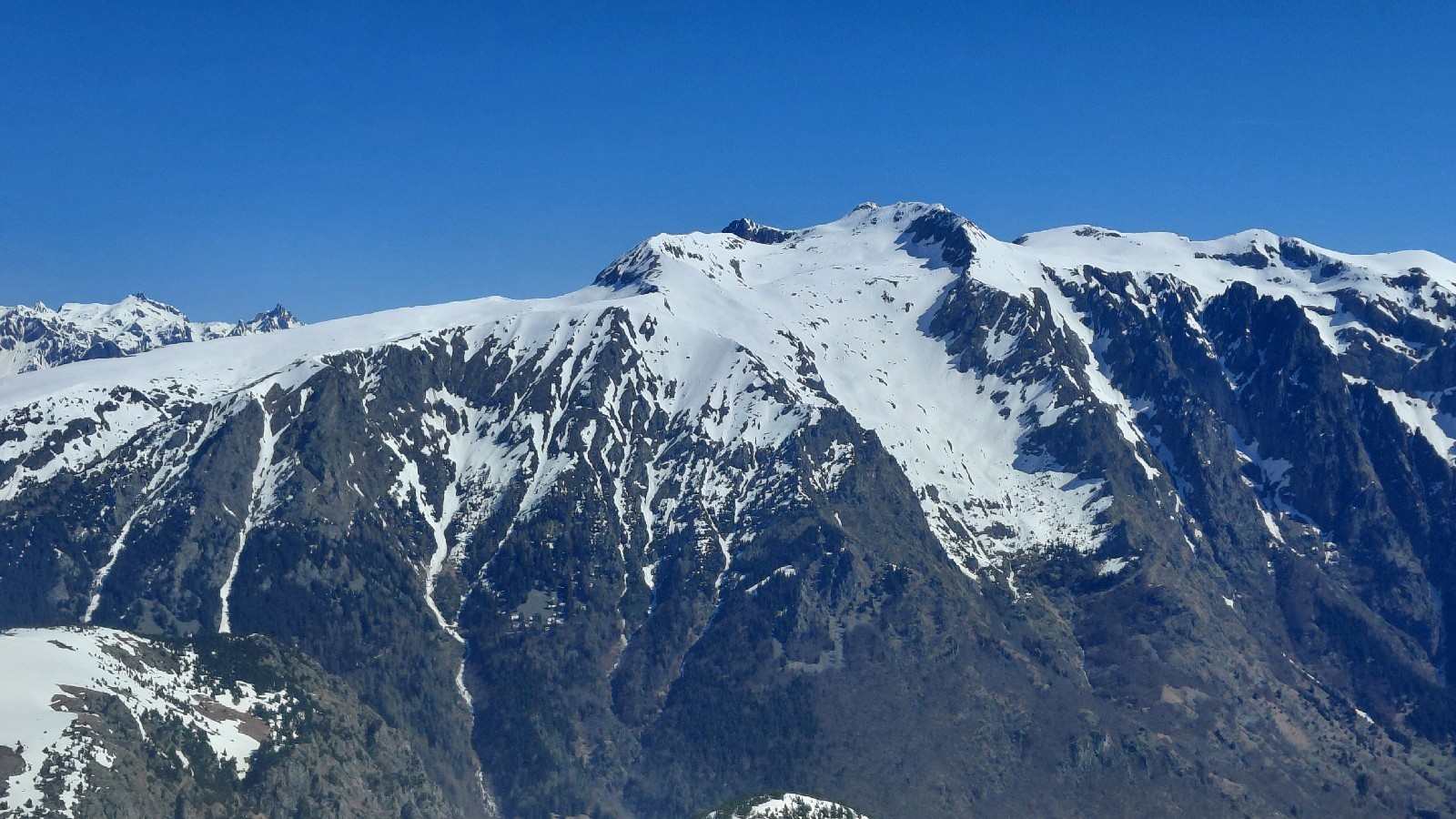 #4 Taillefer Taillefer