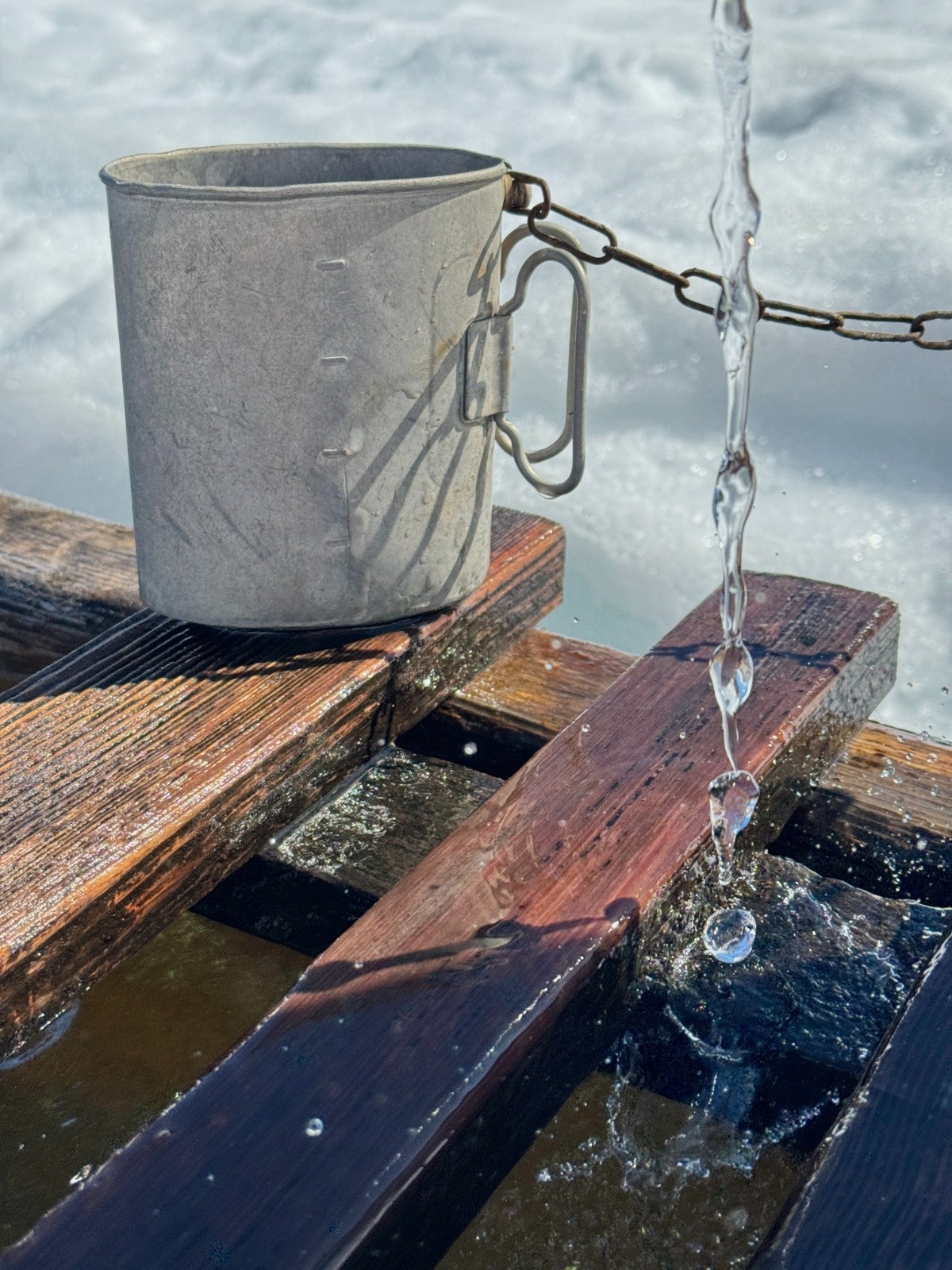 Taveyanne : ils ont tout prévu
