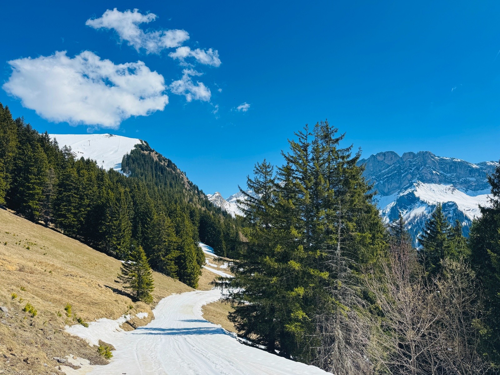 Les Fracherets, avec le sommet au fond