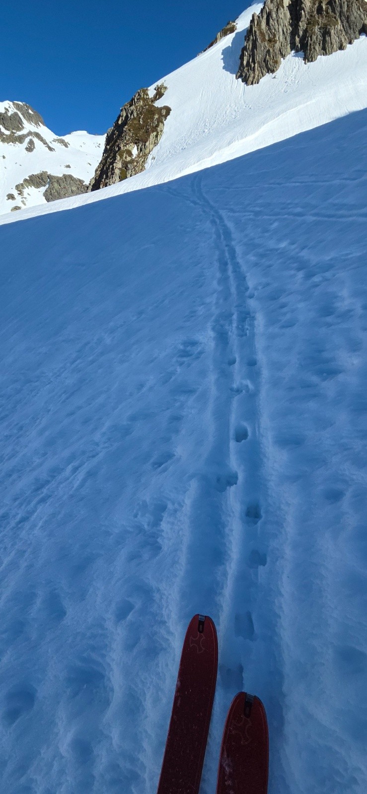 Les traces ne servent pas qu'aux skieurs...