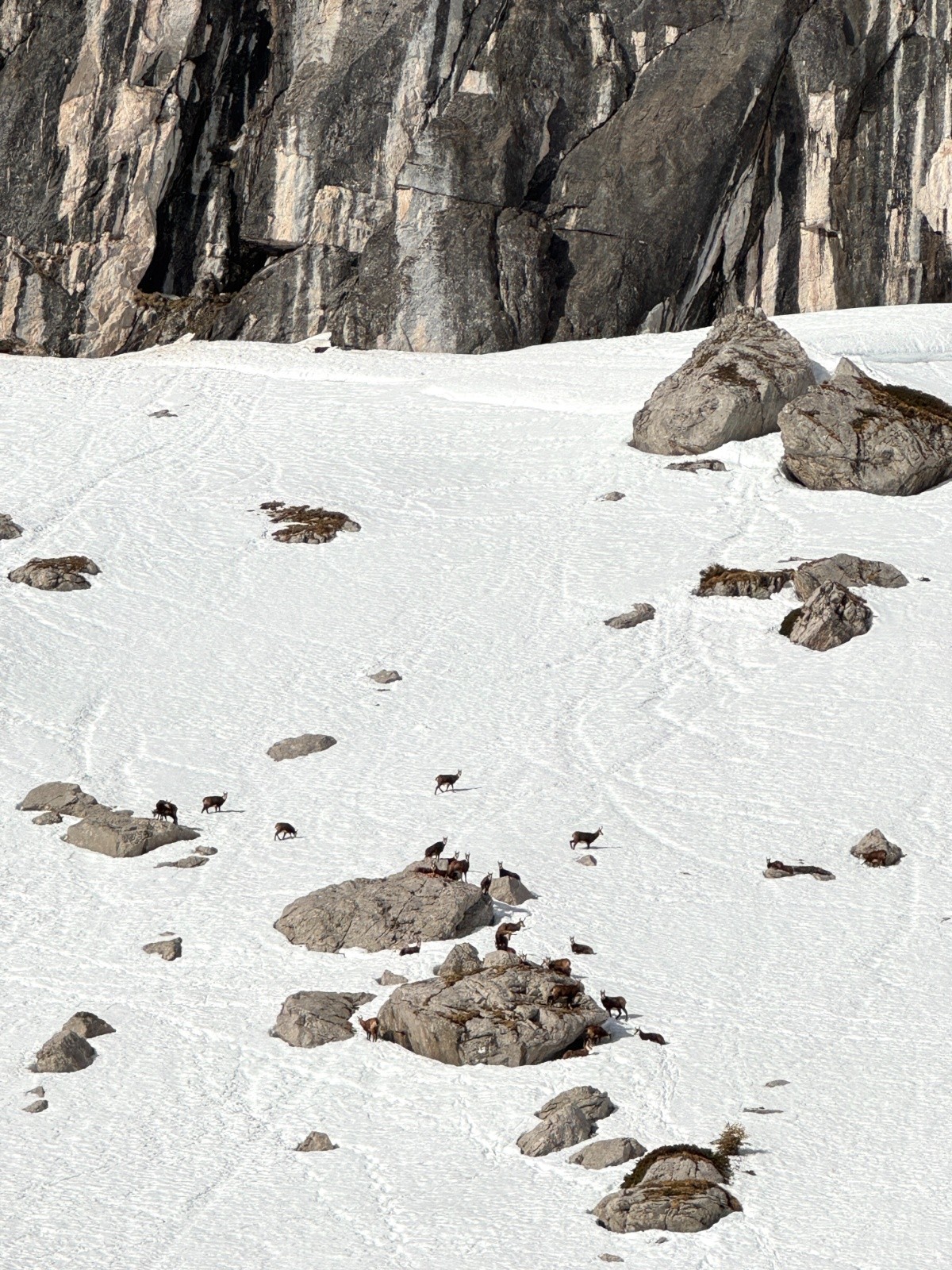 Harde, rocs, mais pas de café