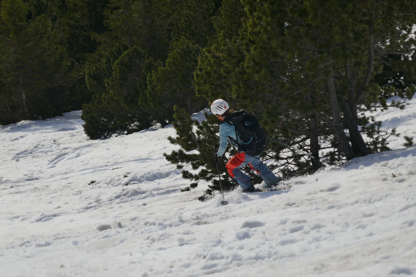 Prairie intermédiaire 