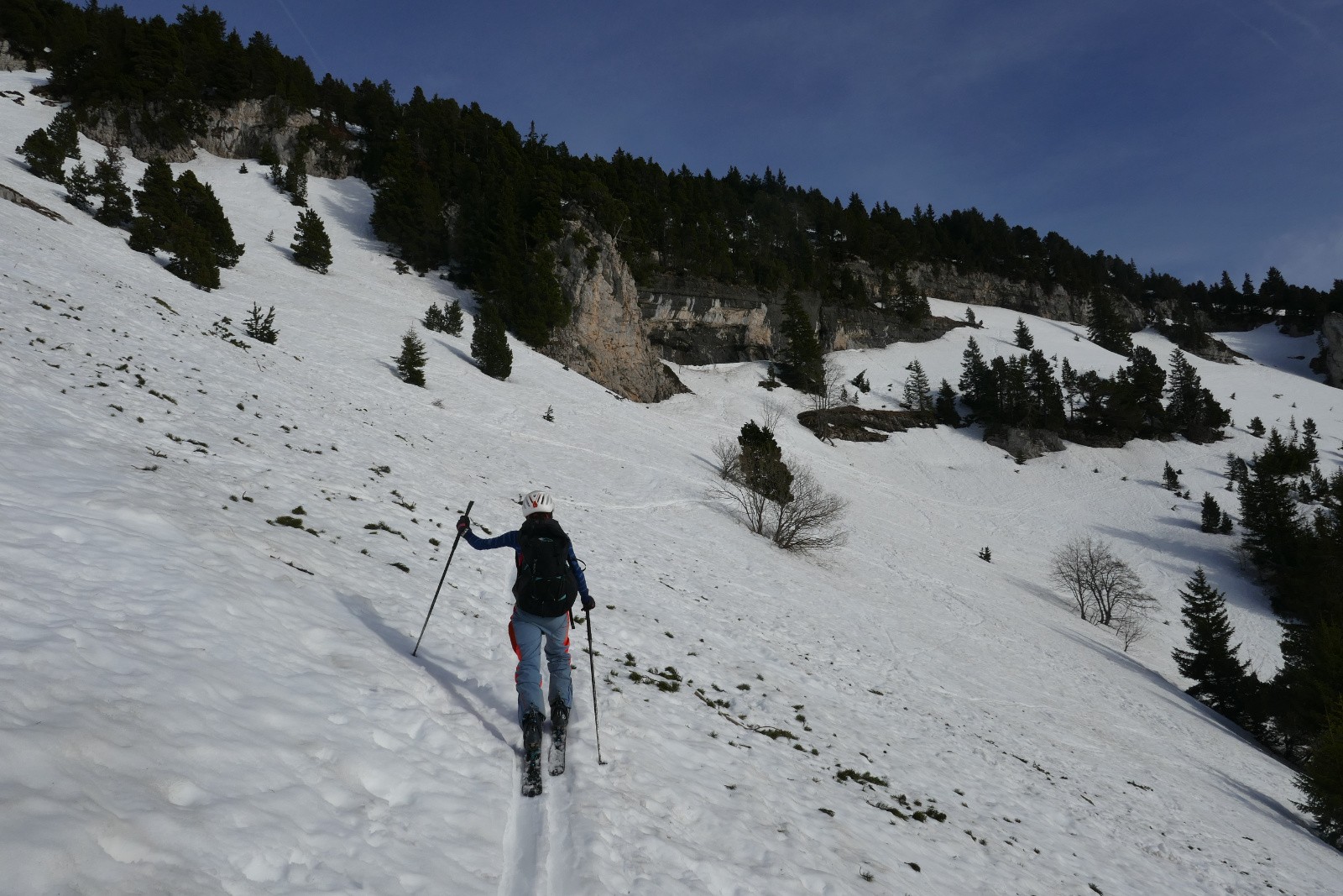 Prairie intermédiaire 