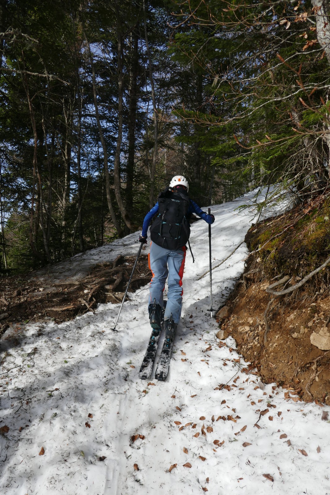 La forêt aussi passe toujours 